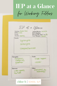 iep at a glance free printable