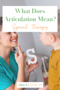 speech therapist working with child with an articulation disorder