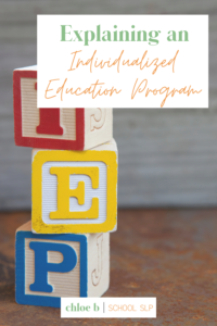 What is a IEP for students?