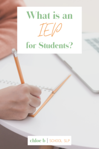 What is a IEP for students?