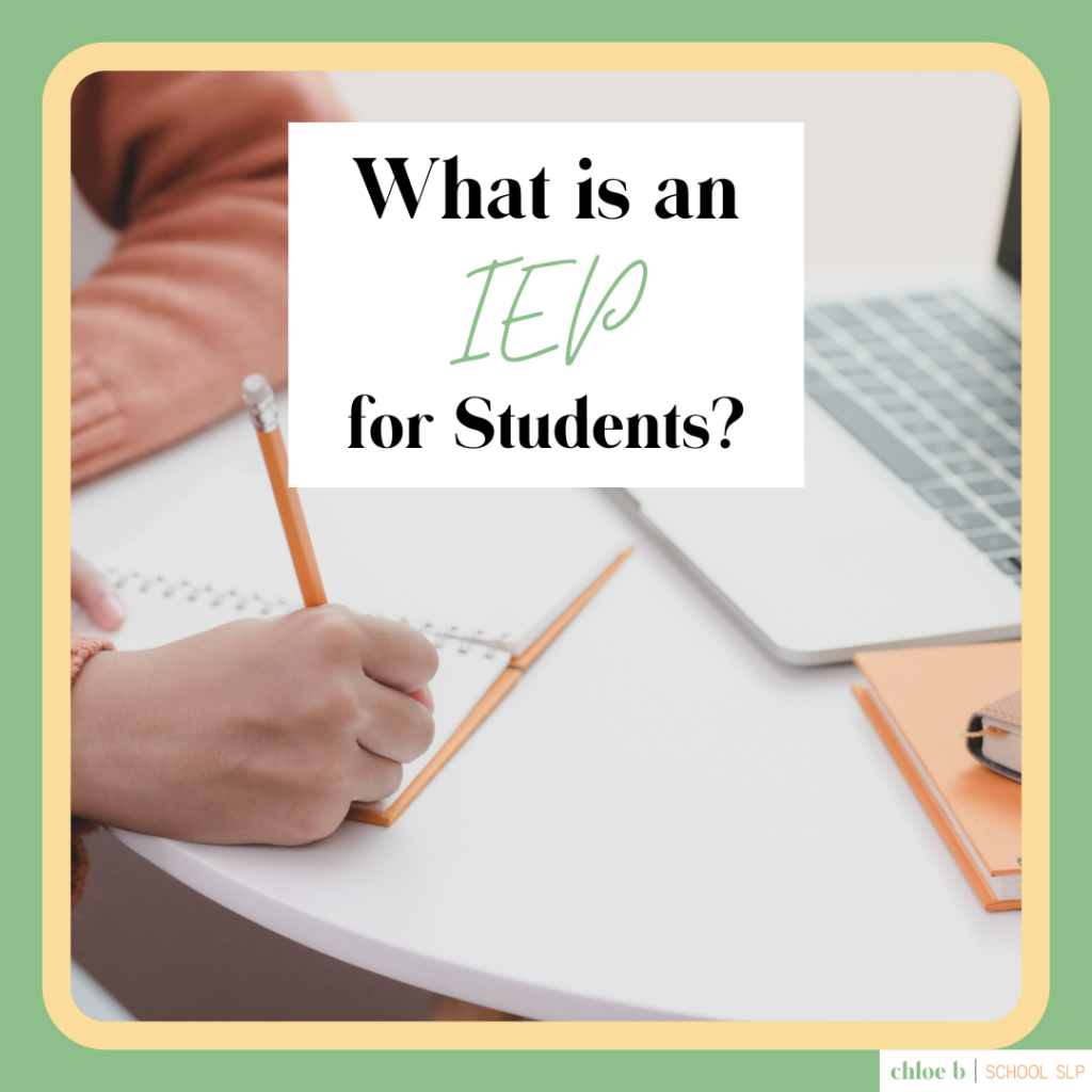 What is an IEP for students?